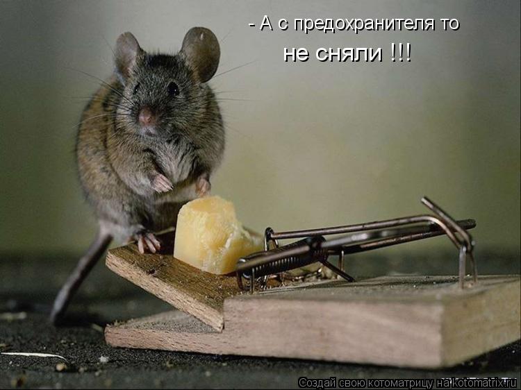 - А с предохранителя то не сняли !!!... Котоматрица: - А с предохранителя то не сняли !!!