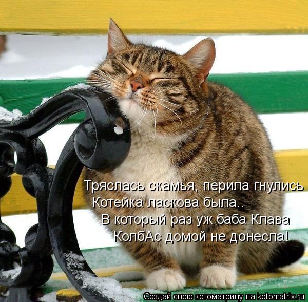 Тряслась скамья, перила гнулись Котейка ласкова была.. В который раз уж баба Клава КолбАс домой не до... Котоматрица: Тряслась скамья, перила гнулись Котейка ласкова была.. В который раз уж баба Клава КолбАс домой не донесла!