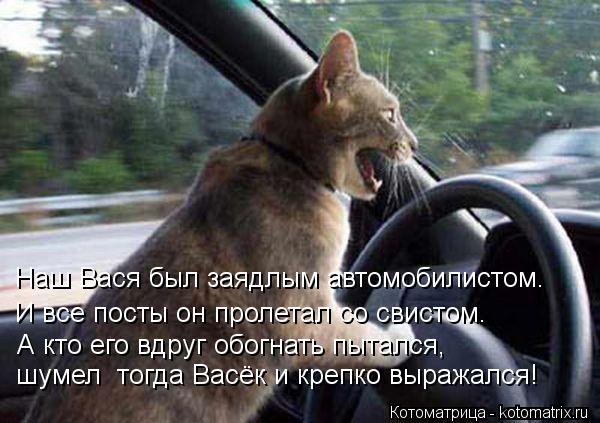 Наш Вася был заядлым автомобилистом. И все посты он пролетал со свистом. А кто его вдруг обогнать пыт... Котоматрица: Наш Вася был заядлым автомобилистом. И все посты он пролетал со свистом. А кто его вдруг обогнать пытался, шумел тогда Васёк и крепко выража