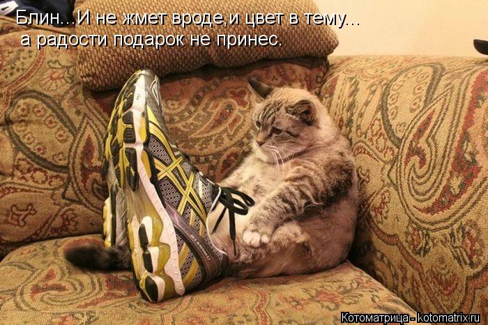 Блин...И не жмет вроде,и цвет в тему... а радости подарок не принес.... Котоматрица: Блин...И не жмет вроде,и цвет в тему... а радости подарок не принес.