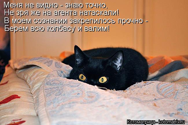 Меня не видно - знаю точно, Не зря же на агента натаскали! В моем сознании закрепилось прочно - Берем... Котоматрица: Меня не видно - знаю точно, Не зря же на агента натаскали! В моем сознании закрепилось прочно - Берем всю колбасу и валим!