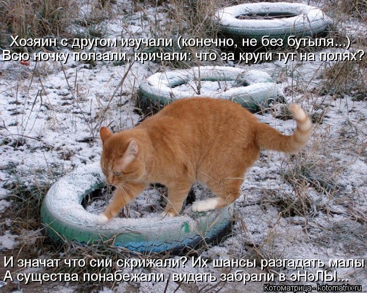 Котоматрица: Хозяин с другом изучали (конечно, не без бутыля...) Всю ночку ползали, кричали: что за круги тут на полях? А существа понабежали, видать забрал