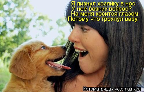 Я лизнул хозяйку в нос У неё возник вопрос? На меня косится глазом Потому что грохнул вазу.... Котоматрица: Я лизнул хозяйку в нос У неё возник вопрос? На меня косится глазом Потому что грохнул вазу.