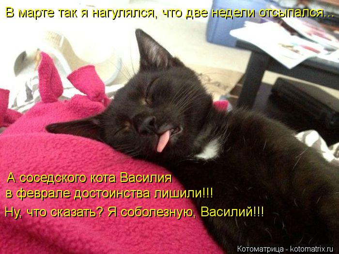 В марте так я нагулялся, что две недели отсыпался... А соседского кота Василия в феврале достоинства ... Котоматрица: В марте так я нагулялся, что две недели отсыпался... А соседского кота Василия в феврале достоинства лишили!!! Ну, что сказать? Я соболезную, В