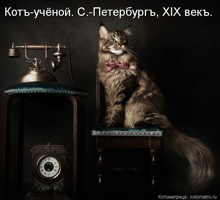 Котъ-учёной. С.-Петербургъ, XIX векъ.... Котоматрица: Котъ-учёной. С.-Петербургъ, XIX векъ.
