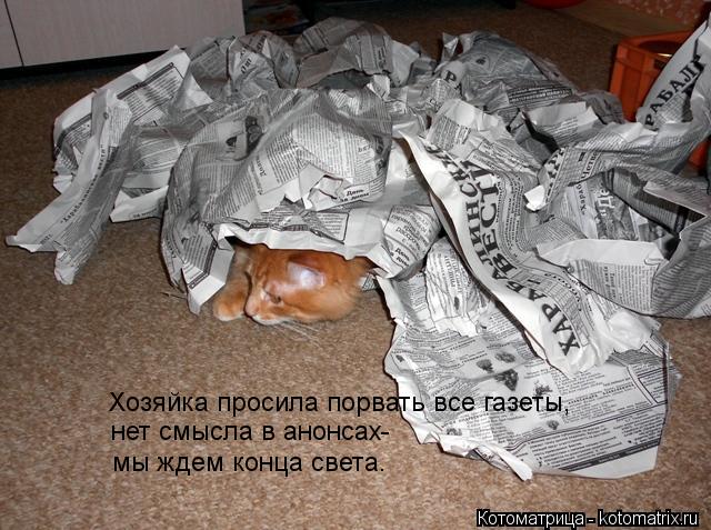 Котоматрица: Хозяйка просила порвать все газеты, нет смысла в анонсах- мы ждем конца света.