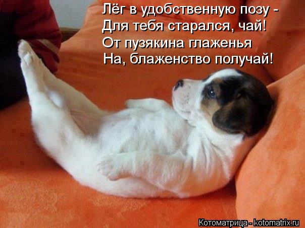 На, блаженство получай! Лёг в удобственную позу - Для тебя старался, чай! От пузякина глаженья... Котоматрица: На, блаженство получай! Лёг в удобственную позу - Для тебя старался, чай! От пузякина глаженья