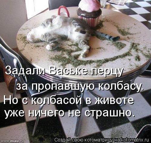 Котоматрица: Задали Ваське перцу за пропавшую колбасу. Но с колбасой в животе уже ничего не страшно.