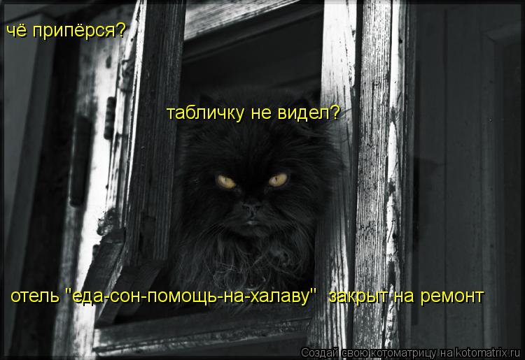 чё припёрся? отель "еда-сон-помощь-на-халаву" закрыт на ремонт табличку не видел?... Котоматрица: чё припёрся? отель "еда-сон-помощь-на-халаву" закрыт на ремонт табличку не видел?