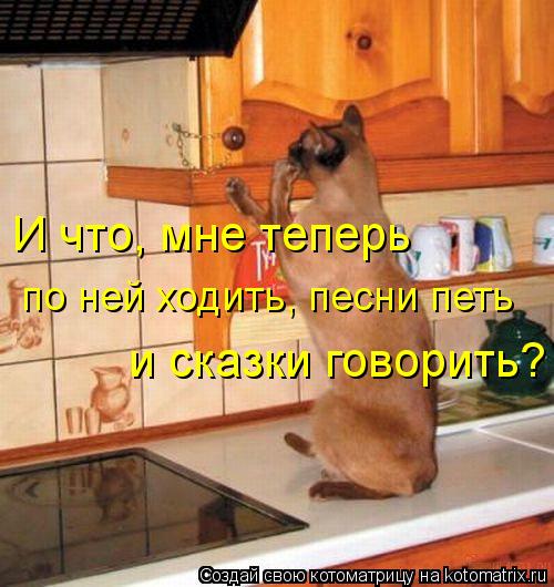 И что, мне теперь по ней ходить, песни петь и сказки говорить?... Котоматрица: И что, мне теперь по ней ходить, песни петь и сказки говорить?