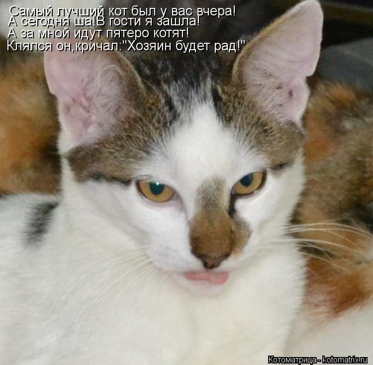 Самый лучший кот был у вас вчера! А сегодня ша!В гости я зашла! А за мной идут пятеро котят! Клялся о... Котоматрица: Самый лучший кот был у вас вчера! А сегодня ша!В гости я зашла! А за мной идут пятеро котят! Клялся он,кричал:"Хозяин будет рад!"