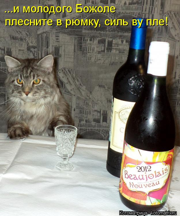 Котоматрица: ...и молодого Божоле плесните в рюмку, силь ву пле!