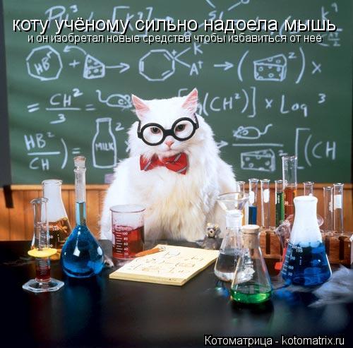 Котоматрица: коту учёному сильно надоела мышь и он изобретал новые средства чтобы избавиться от неё