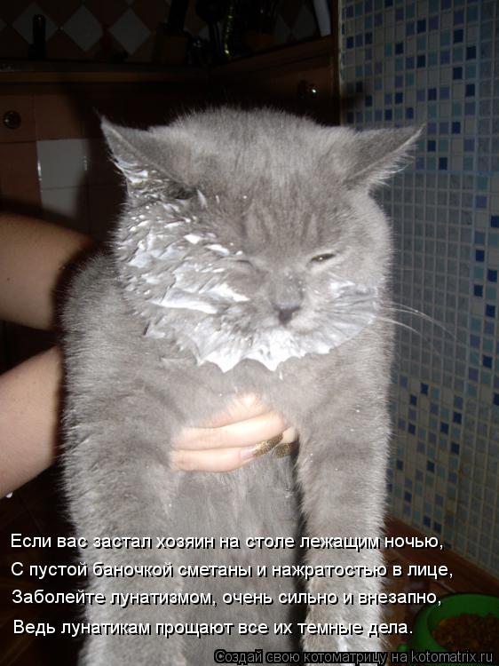 Котоматрица: Если вас застал хозяин на столе лежащим ночью, С пустой баночкой сметаны и нажратостью в лице, Заболейте лунатизмом, очень сильно и внезапн