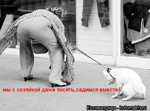 мы с хозяйкой даже писять садимся вместе!... Котоматрица: мы с хозяйкой даже писять садимся вместе!