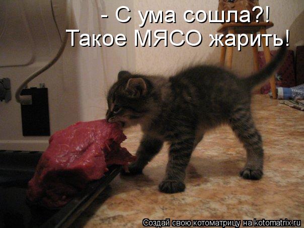 http://kotomatrix.ru/images/lolz/2012/12/04/kotomatritsa_af.jpg