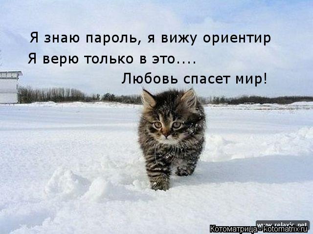 Я знаю пароль, я вижу ориентир Я верю только в это.... Любовь спасет мир!... Котоматрица: Я знаю пароль, я вижу ориентир Я верю только в это.... Любовь спасет мир!