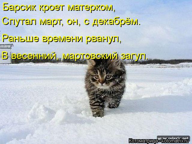 Барсик кроет матерком, Спутал март, он, с декабрём. Раньше времени рванул, В весенний, мартовский заг... Котоматрица: Барсик кроет матерком, Спутал март, он, с декабрём. Раньше времени рванул, В весенний, мартовский загул.