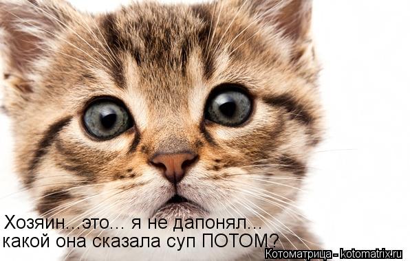 какой она сказала суп ПОТОМ? Хозяин...это... я не дапонял...... Котоматрица: какой она сказала суп ПОТОМ? Хозяин...это... я не дапонял...
