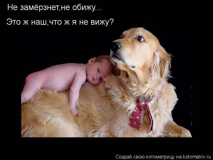 Не замёрзнет,не обижу... Это ж наш,что ж я не вижу?... Котоматрица: Не замёрзнет,не обижу... Это ж наш,что ж я не вижу?