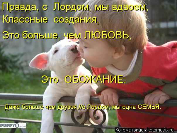 Котоматрица: Правда, с  Лордом, мы вдвоем, Классные  создания, Это больше, чем ЛЮБОВЬ, Это  ОБОЖАНИЕ. Даже больше чем друзья,//с Лордом, мы одна СЕМЬЯ.