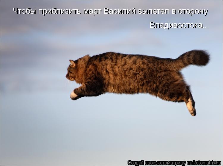 Котоматрица: Чтобы приблизить март Василий вылетел в сторону Владивостока...