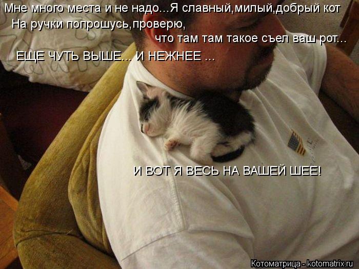 Мне много места и не надо...Я славный,милый,добрый кот На ручки попрошусь,проверю, что там там такое ... Котоматрица: Мне много места и не надо...Я славный,милый,добрый кот На ручки попрошусь,проверю, что там там такое съел ваш рот... ЕЩЕ ЧУТЬ ВЫШЕ... И НЕЖНЕЕ ...