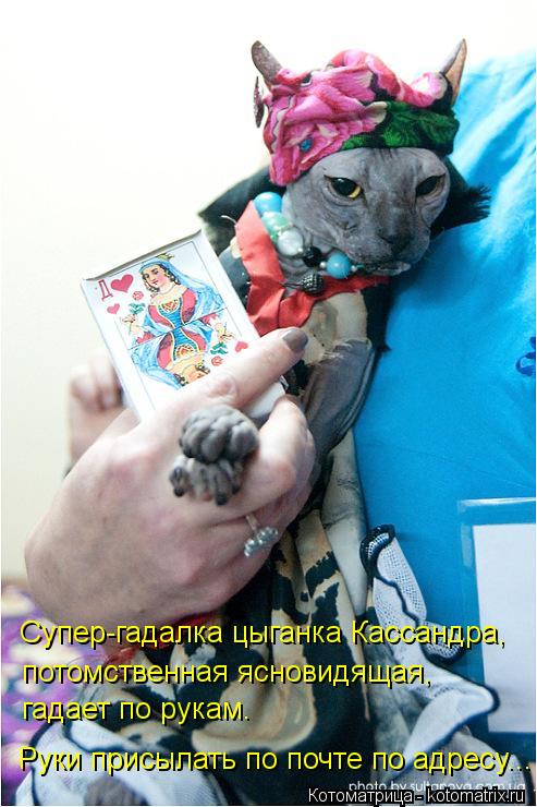 Супер-гадалка цыганка Кассандра, потомственная ясновидящая, гадает по рукам. Руки присылать по почте ... Котоматрица: Супер-гадалка цыганка Кассандра, потомственная ясновидящая, гадает по рукам. Руки присылать по почте по адресу...