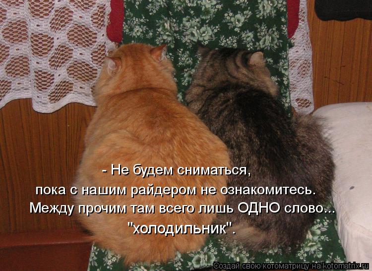 Между прочим там всего лишь ОДНО слово... "холодильник". - Не будем сниматься, пока с нашим райдером ... Котоматрица: Между прочим там всего лишь ОДНО слово... "холодильник". - Не будем сниматься, пока с нашим райдером не ознакомитесь.