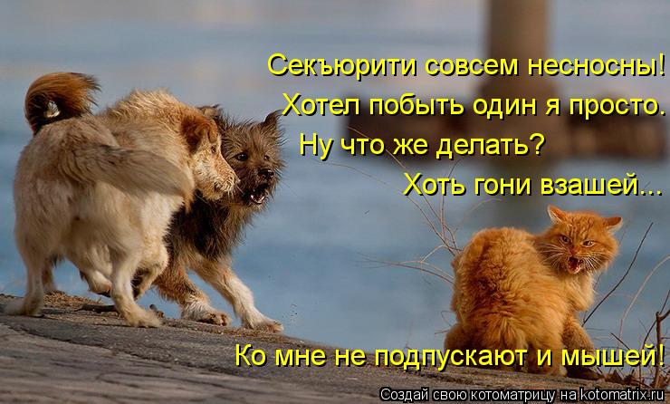 Секъюрити совсем несносны! Хотел побыть один я просто. Ну что же делать? Хоть гони взашей... Ко мне ... Котоматрица: Секъюрити совсем несносны! Хотел побыть один я просто. Ну что же делать? Хоть гони взашей... Ко мне не подпускают и мышей!