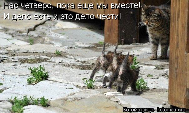 Нас четверо, пока еще мы вместе! И дело есть и это дело чести!... Котоматрица: Нас четверо, пока еще мы вместе! И дело есть и это дело чести!