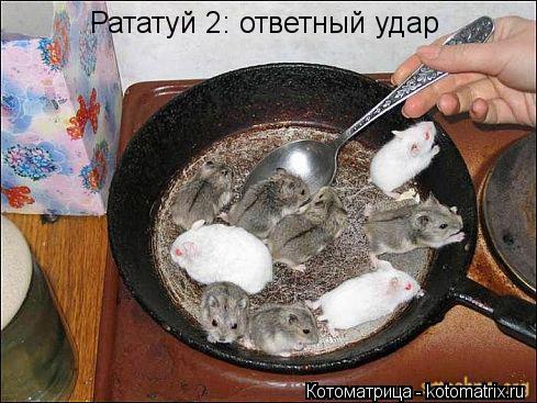 Рататуй 2: ответный удар... Котоматрица: Рататуй 2: ответный удар