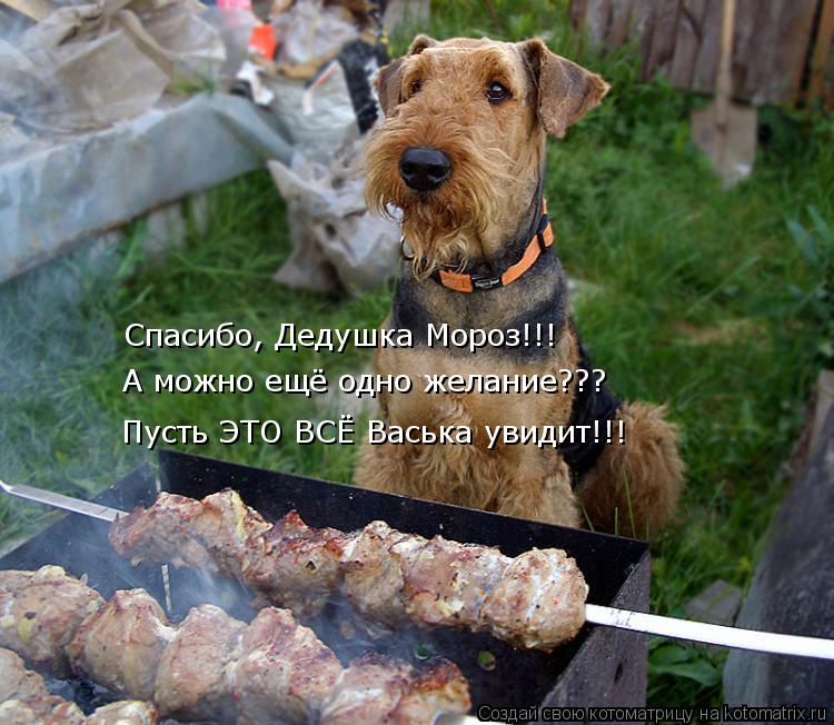 Спасибо, Дедушка Мороз!!! А можно ещё одно желание??? Пусть ЭТО ВСЁ Васька увидит!!!... Котоматрица: Спасибо, Дедушка Мороз!!! А можно ещё одно желание??? Пусть ЭТО ВСЁ Васька увидит!!!