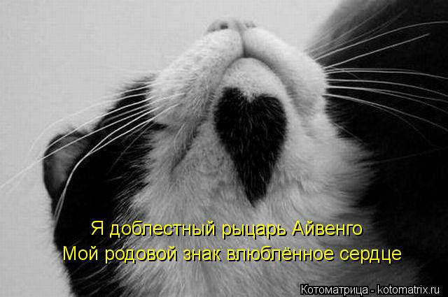Я доблестный рыцарь Айвенго Мой родовой знак влюблённое сердце... Котоматрица: Я доблестный рыцарь Айвенго Мой родовой знак влюблённое сердце