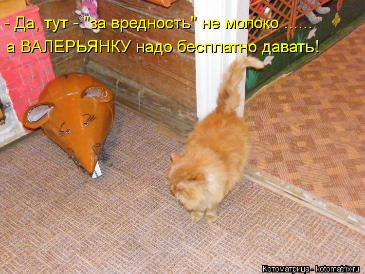 - Да, тут - "за вредность" не молоко ...... а ВАЛЕРЬЯНКУ надо бесплатно давать!... Котоматрица: - Да, тут - "за вредность" не молоко ...... а ВАЛЕРЬЯНКУ надо бесплатно давать!