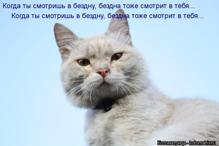 Когда ты смотришь в бездну, бездна тоже смотрит в тебя... Когда ты смотришь в бездну, бездна тоже смо... Котоматрица: Когда ты смотришь в бездну, бездна тоже смотрит в тебя... Когда ты смотришь в бездну, бездна тоже смотрит в тебя...