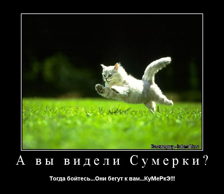 А вы видели Сумерки? Тогда бойтесь...Они бегут к вам...КуМеРкЭ!!!... Котоматрица: А вы видели Сумерки? Тогда бойтесь...Они бегут к вам...КуМеРкЭ!!!
