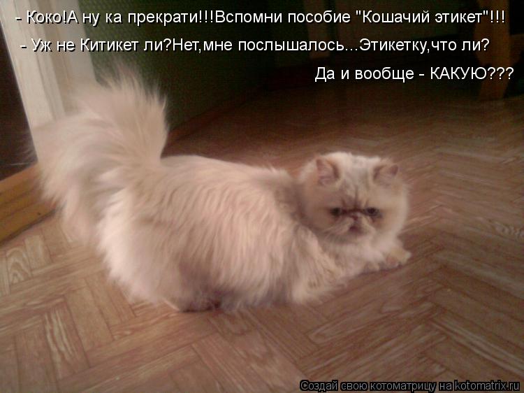 - Коко!А ну ка прекрати!!!Вспомни пособие "Кошачий этикет"!!! - Уж не Китикет ли?Нет,мне послышалось.... Котоматрица: - Коко!А ну ка прекрати!!!Вспомни пособие "Кошачий этикет"!!! - Уж не Китикет ли?Нет,мне послышалось...Этикетку,что ли? Да и вообще - КАКУЮ???
