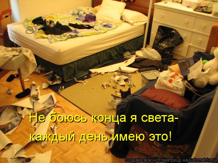 Не боюсь конца я света- каждый день имею это!... Котоматрица: Не боюсь конца я света- каждый день имею это!