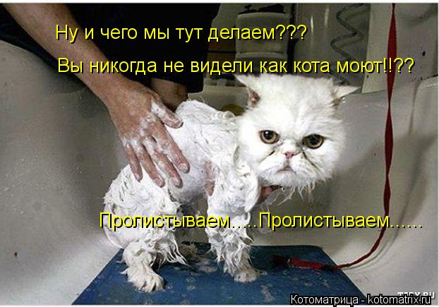 Ну и чего мы тут делаем??? Вы никогда не видели как кота моют!!?? Пролистываем.....Пролистываем......... Котоматрица: Ну и чего мы тут делаем??? Вы никогда не видели как кота моют!!?? Пролистываем.....Пролистываем......