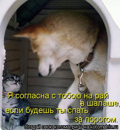 Котоматрица: - Я согласна с тобою на рай  в шалаше, если будешь ты спать за порогом.