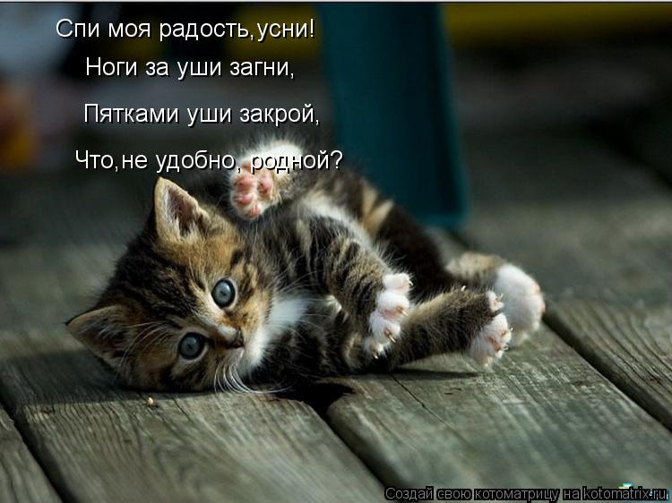 Спи моя радость,усни! Спи моя радость,усни! Ноги за уши загни, Пятками уши закрой, Что,не удобно, род... Котоматрица: Спи моя радость,усни! Спи моя радость,усни! Ноги за уши загни, Пятками уши закрой, Что,не удобно, родной?