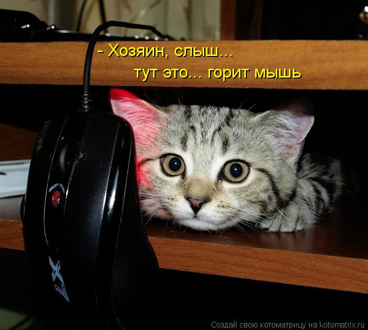 Котоматрица: - Хозяин, слыш... тут это... горит мышь