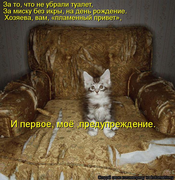 За то, что не убрали туалет, За миску без икры, на день рождение. Хозяева, вам, «пламенный привет», И... Котоматрица: За то, что не убрали туалет, За миску без икры, на день рождение. Хозяева, вам, «пламенный привет», И первое, моё ,предупреждение.