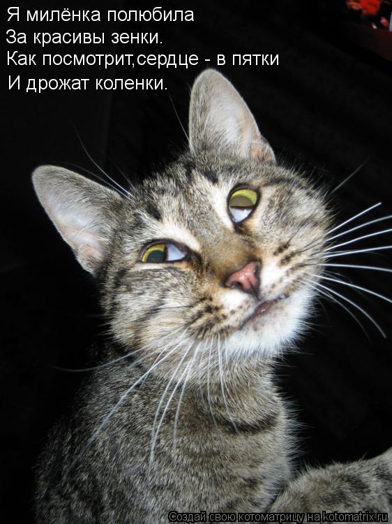 Я милёнка полюбила За красивы зенки. Как посмотрит,сердце - в пятки И дрожат коленки.... Котоматрица: Я милёнка полюбила За красивы зенки. Как посмотрит,сердце - в пятки И дрожат коленки.