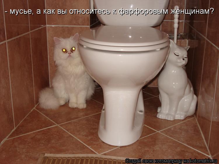 Котоматрица: - мусье, а как вы относитесь к фарфоровым женщинам?