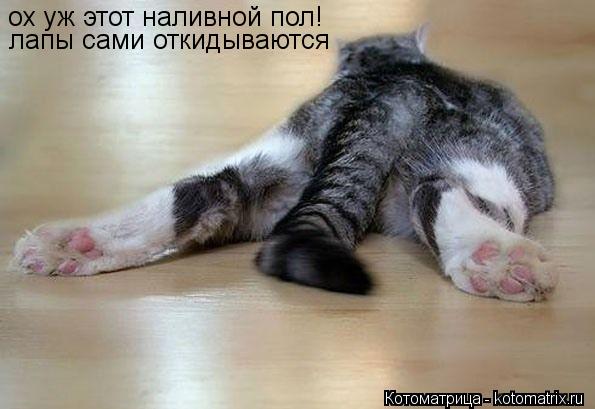 ох уж этот наливной пол! лапы сами откидываются... Котоматрица: ох уж этот наливной пол! лапы сами откидываются