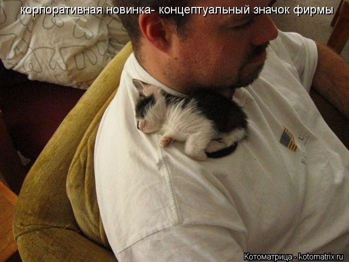 Котоматрица: корпоративная новинка- концептуальный значок фирмы
