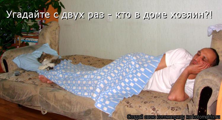 Котоматрица: Угадайте с двух раз - кто в доме хозяин?!