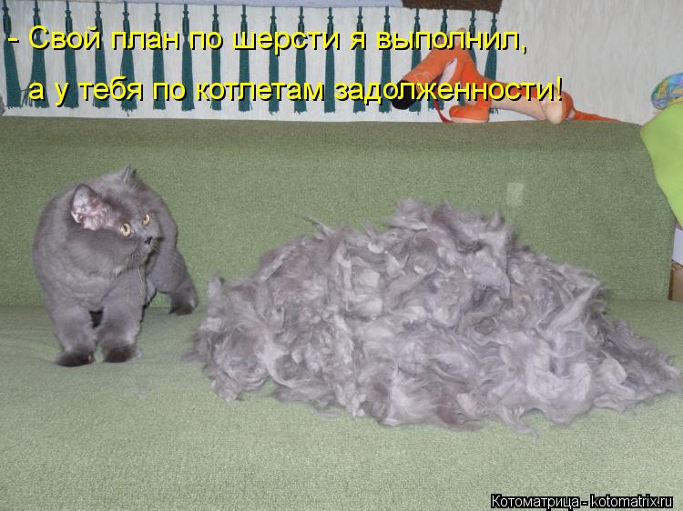 - Свой план по шерсти я выполнил, а у тебя по котлетам задолженности!... Котоматрица: - Свой план по шерсти я выполнил, а у тебя по котлетам задолженности!